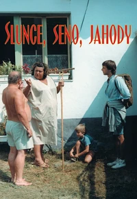 Slunce, seno, jahody