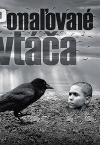 Pomaľované vtáča