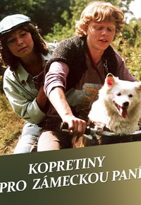 Kopretiny pro zámeckou paní