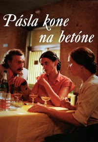 Pásla kone na betóne