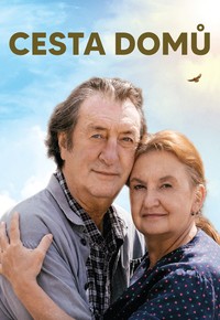 Cesta domů