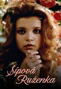 Šípová Ruženka