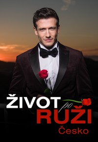 Život po Ruži (Česko)