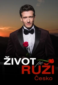 Život po Ruži (Česko)