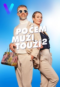 Po čem muži touží 2