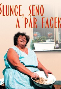 Slunce, seno a pár facek