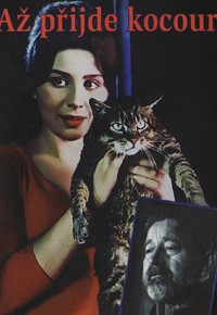 Až přijde kocour