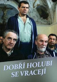 Dobří holubi se vracejí