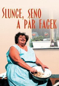 Slunce, seno a pár facek