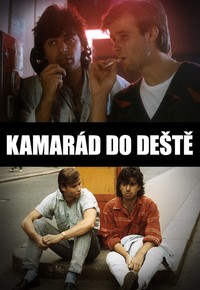Kamarád do deště