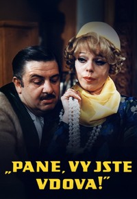 „Pane, vy jste vdova!“