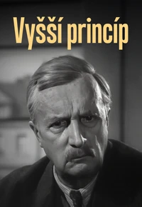 Vyšší princíp
