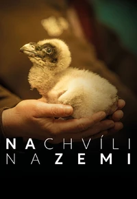 Na chvíli na Zemi