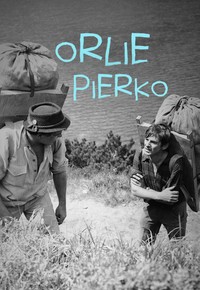 Orlie pierko