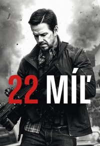 22 míľ