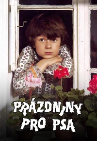 Prázdniny pro psa