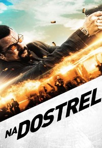 Na dostrel