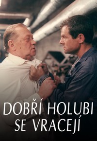 Dobří holubi se vracejí