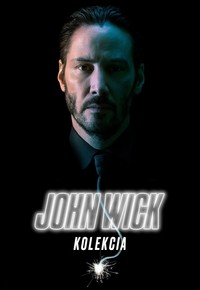 John Wick - kolekcia