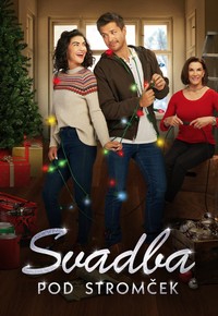 Svadba pod stromček