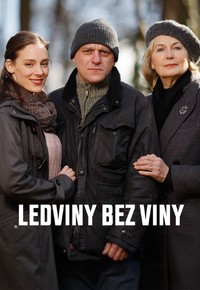 Ledviny bez viny