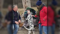 Rodinná prechádzka lesom sa skončila tragédiou. Poľovník im zastrelil psa