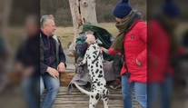 Rodinná prechádzka lesom sa skončila tragédiou. Poľovník im zastrelil psa