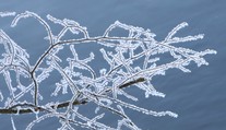 Noc bude poriadne mrazivá. Teploty môžu klesnúť až na mínus 17