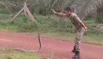 Čo to s ním urobil? Vojak úplne paralyzoval najdlhšieho jedovatého hada na svete