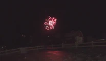 Ohňostroje si niektorí neodpustili ani v národných parkoch. Lesnú zver to môže aj zabiť