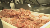 Odhalili ďalšie prípady salmonelózy na Slovensku