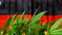 Nemecko od apríla zlegalizuje rekreačné užívanie marihuany
