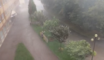 V Poprade zrejme vyčíňal zvláštny úkaz. Silná búrka vyvracala aj stromy