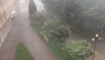 V Poprade zrejme vyčíňal zvláštny úkaz. Silná búrka vyvracala aj stromy