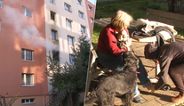 Zásah hasičov pri požiari v prešovskom paneláku. Dôchodkyňa (73) aj jej tri psy vyviazli bez ujmy
