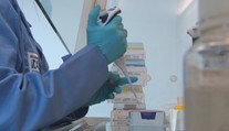 Prekvapivý objav vedcov. Vírus, ktorý spôsobuje obyčajné nachladnutie, poráža covid