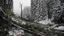 Na strednom Slovensku je bez elektriny 15-tisíc domácností, na západnom len 800