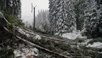 Na strednom Slovensku je bez elektriny 15-tisíc domácností, na západnom len 800