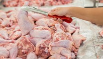 Na pultoch sa opäť objavila poľská kuracina so salmonelou. Prečítajte si, od ktorých firiem