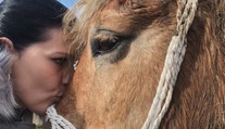 Majiteľka sa ukradnutého koňa ešte nedočká, po návrate z Rumunska skončil v karanténe