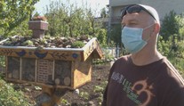 Nadšený záhradkár zo Svidníka vybudoval pre užitočný hmyz hotel