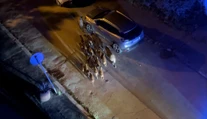 VIDEO: Stádo diviakov si vykračovalo po bratislavskom Bôriku. Polícia radí, čo určite nerobiť