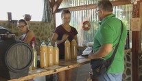 Ako rozoznáte kvalitný burčiak? Radia dvaja odborníci