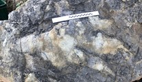 V Anglicku objavili rekordne veľkú stopu mäsožravého dinosaura
