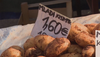 Vlna nespokojnosti po príchode eura. Chorváti sa sťažujú na výrazné zdražovanie