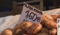 Vlna nespokojnosti po príchode eura. Chorváti sa sťažujú na výrazné zdražovanie