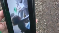 Šírenie krutých videí z Miloslavova polícia zatiaľ nestíha, zákon o kyberšikane sa nedá použiť