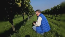 Podnikanie v súlade s prírodou nebolo v móde, no skúsili to. Teraz produkujú unikátne ekologické víno