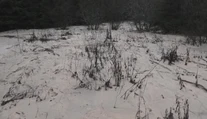 Mesiace po tragédii sú na dne Liptovskej Mary nebezpečné kaly. Dá sa v nej kúpať?