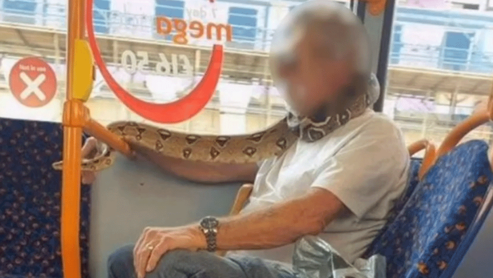 Namiesto rúška plaz. Muž nastúpil do autobusu s hadom omotaným okolo úst